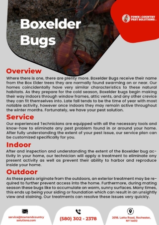 exterminator syracuse ny  | syracuse termite control