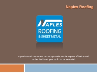 Roofing Contractor in USA_Naples Roofing_PPT