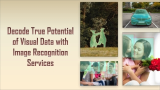 Decode True Potential of Visual Data with Image Recognition Services