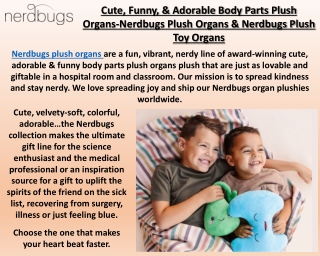 Nerdbugs LLC - Lung Organ Toys - Lung Plushie Toys