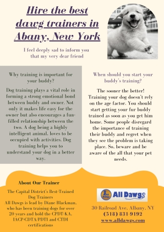 Hire the best dawg trainers in Abany, New York