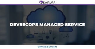 DevSecOps Managed Service - Kaiburr