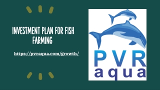 INVESTMENT PLAN FOR FISH FARMING