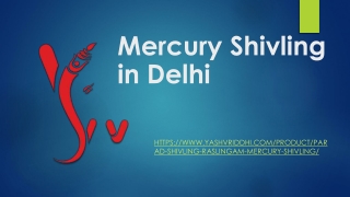 Mercury Shivling in Delhi