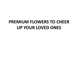 PREMIUM FLOWERS TO CHEER UP YOUR LOVED ONES