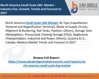North America Small-Scale LNG Market