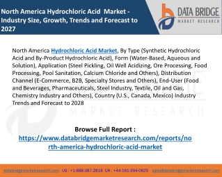 Market Analysis and Insights: North America Hydrochloric Acid Market