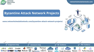Byzantine Attack Network Projects Research Help