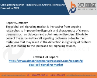 Cell Signaling Market