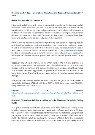 Bromine Market Basic Information, Manufacturing Base and Competitors 2017-2025