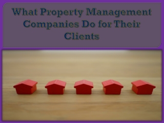 What Property Management Companies Do for Their Clients