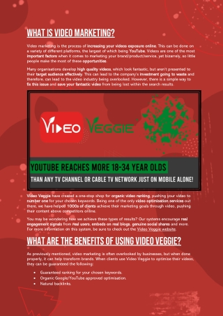 Video Veggie -Why Use Video Marketing