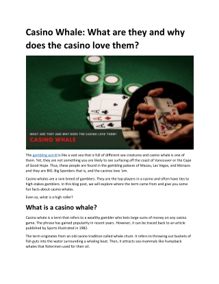 What is Casino Whale