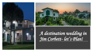 A destination wedding in Jim Corbett- let’s Plan