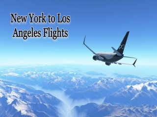 New York to Los Angeles Flights || JFK to LAx Flights