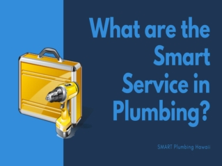 What are the Smart Service in Plumbing