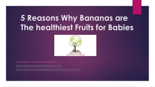 5 Reasons Why Bananas are The healthiest Fruits