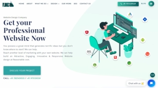 Connect with the professional Website Development Agency from here.