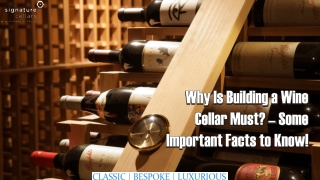 Why Is Building a Wine Cellar Must? – Some Important Facts to Know!