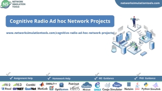 Cognitive Radio Ad hoc Network Projects For Engineering Students