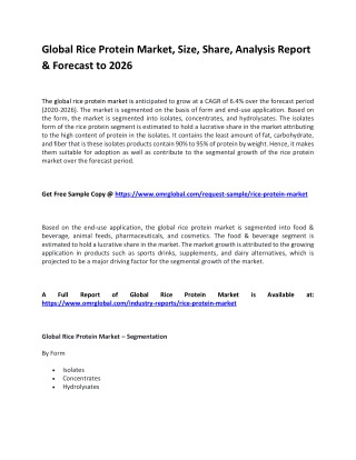 Global Rice Protein Market