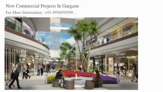 New Commercial Projects in Gurgaon by elan group, New Commercial Projects on Dwa