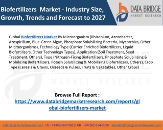 Biofertilizers Market