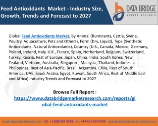 Feed Antioxidants Market