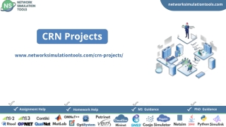 CRN Projects Research Assistance