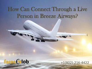 How Can Connect Through a Live Person in Breeze Airways
