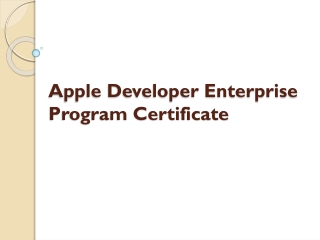Apple Developer Enterprise Program Certificate
