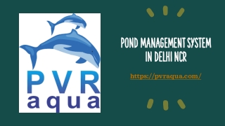 Pond Management System in Delhi NCR