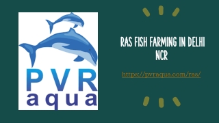 RAS Fish Farming in Delhi NCR