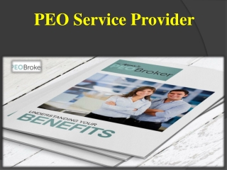 PEO Service Provider