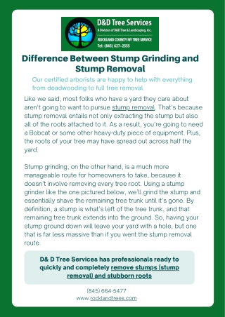 Difference Between Stump Grinding and Stump Removal