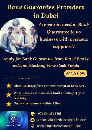 Infographics – International Bank Guarantee Providers in Dubai