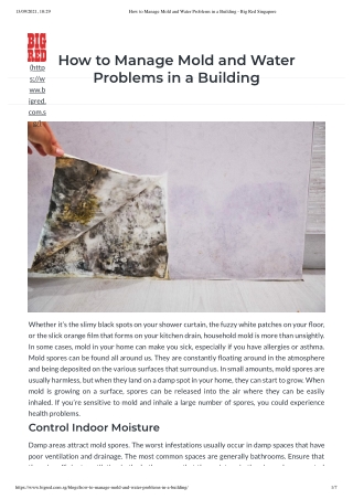 How to Manage Mold and Water Problems in a Building - Big Red Singapore
