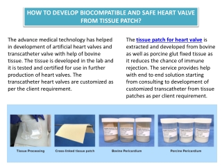 How To Develop Biocompatible And Safe Heart Valve From Tissue Patch?