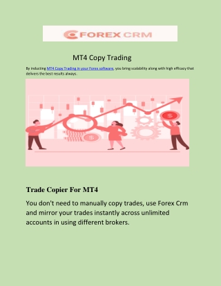 MT4 Copy Trading