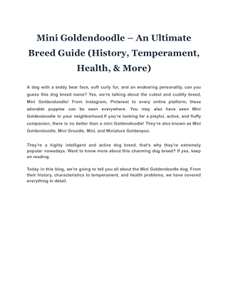 Mini Goldendoodle – An Ultimate Breed Guide (History, Temperament, Health, & Mor