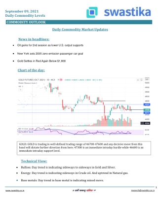 Commodity daily levels