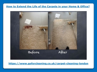 How to Extend the Life of the Carpets in your Home & Office