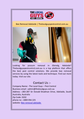 Bee Removal Adelaide | Thelocalguyspestcontrol.com.au