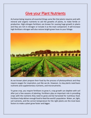 Give your Plant Nutrients