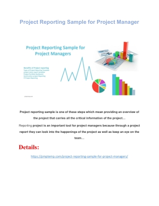 Project Reporting Sample for Project Managers