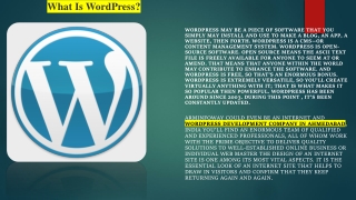 What Is WordPress