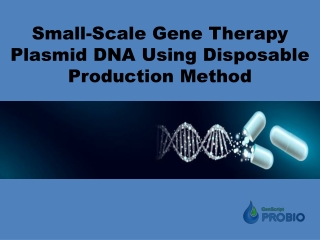 Small-Scale Gene Therapy Plasmid DNA Using Disposable Production Method