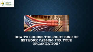 How to Choose the Right Kind of Network Cabling for your Organization?