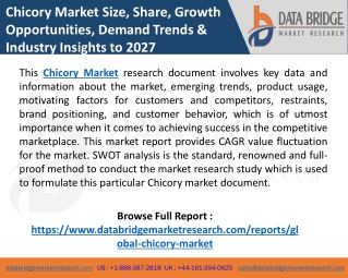 Chicory Market Future Scope with Top Players:  Cargill, Incorporated
