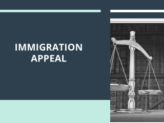 Immigration Appeal
